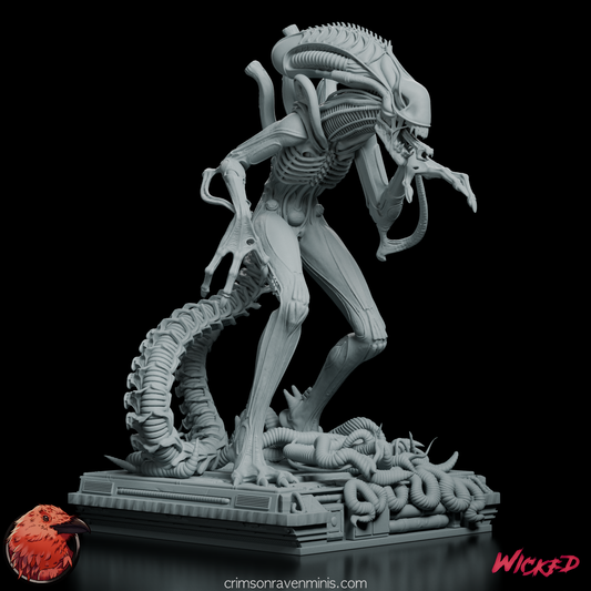 Front view of Alien Xenomorph Warrior Figure Model Kit with dynamic pose and detailed exoskeleton.