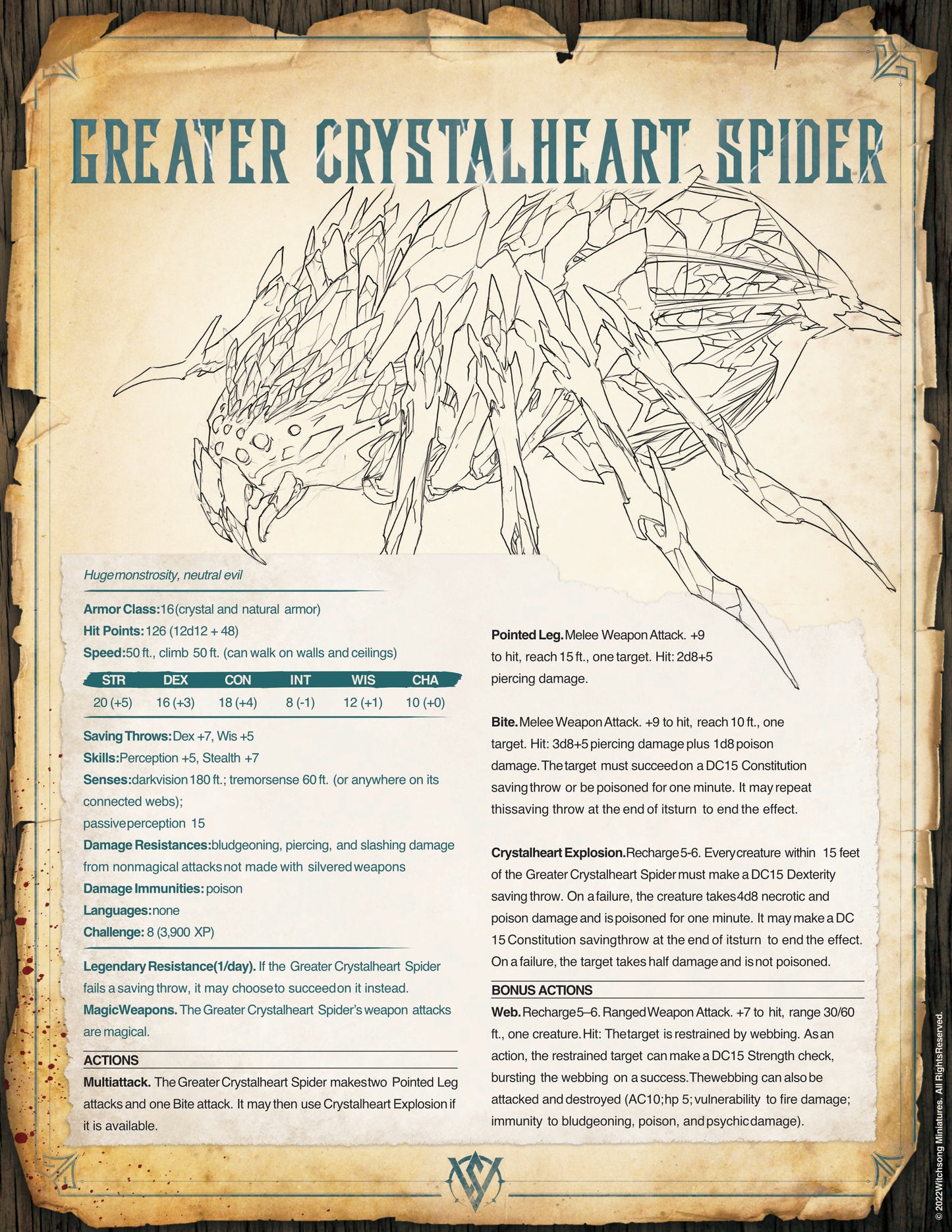 Greater Crystal Heart Spider