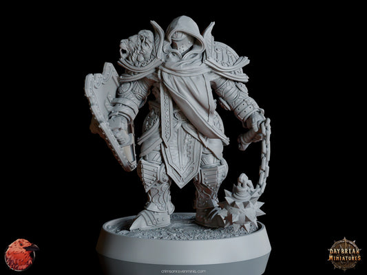 Front view of the Mattias du Lion Tuant resin paladin figure holding a lion-emblazoned shield and a flail.