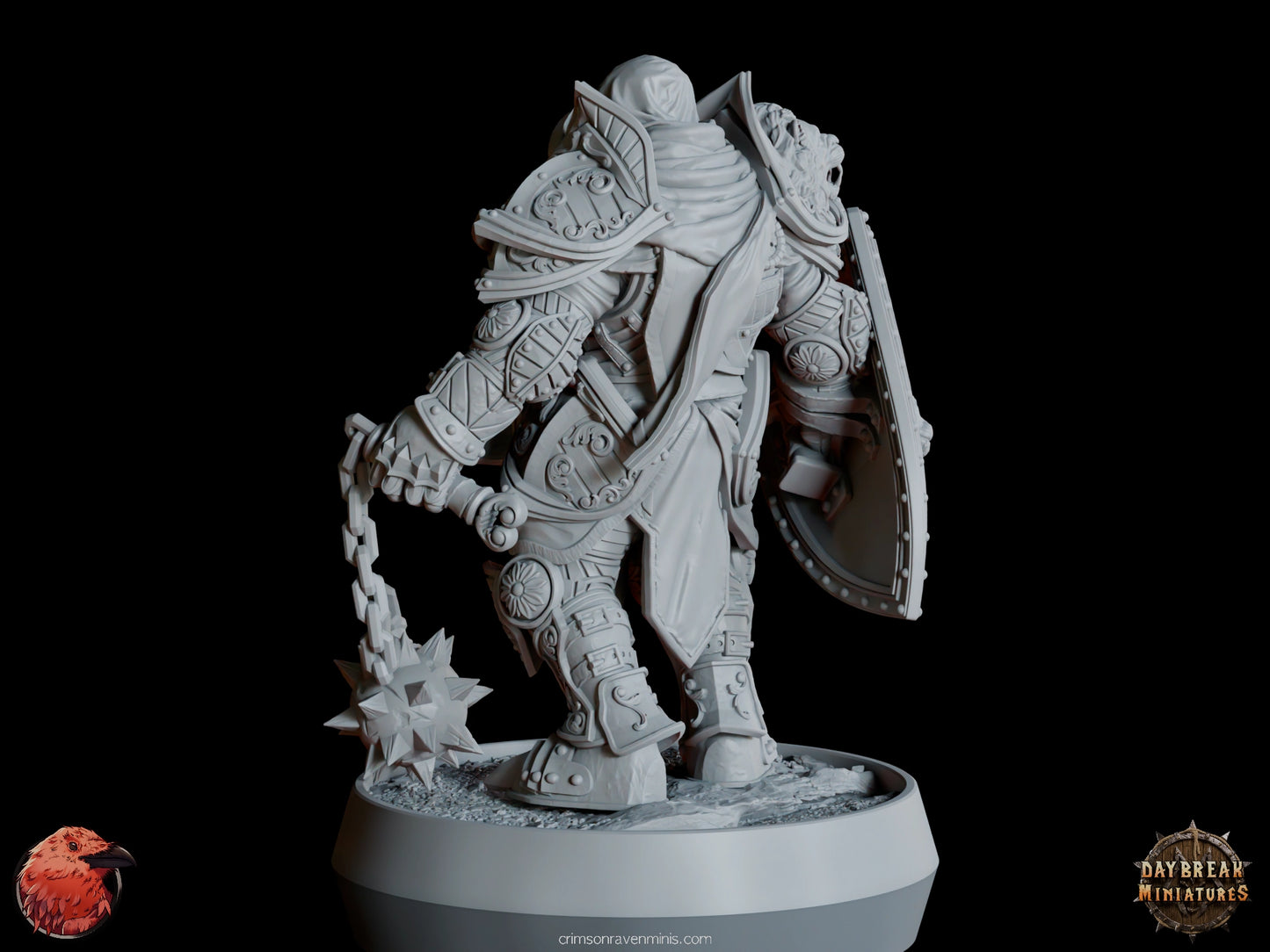 Rear side angle of the Mattias du Lion Tuant paladin miniature with flail and shield.