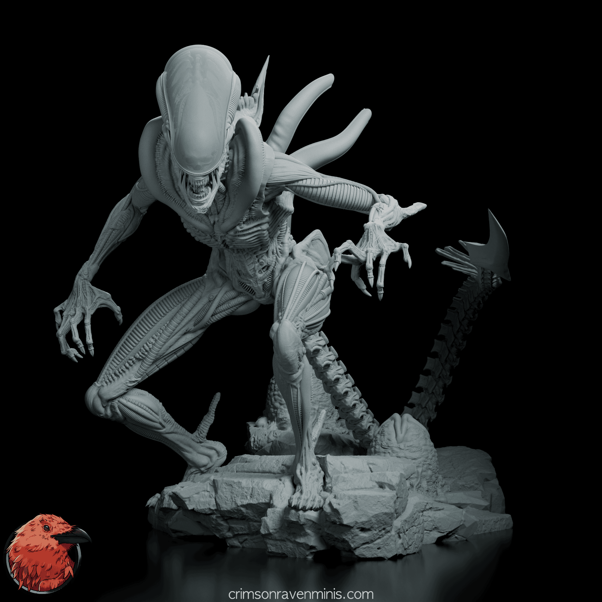 Front view of the Alien Xenomorph figure model showcasing its dome-like head and sinewy limbs.