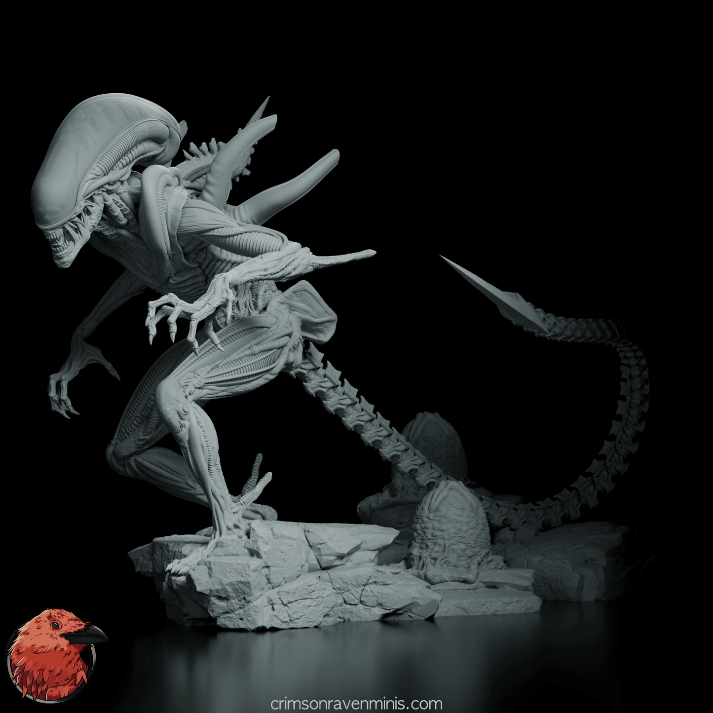 Left side view of the Alien Xenomorph figure model with sharp detailing on its limbs and tail.