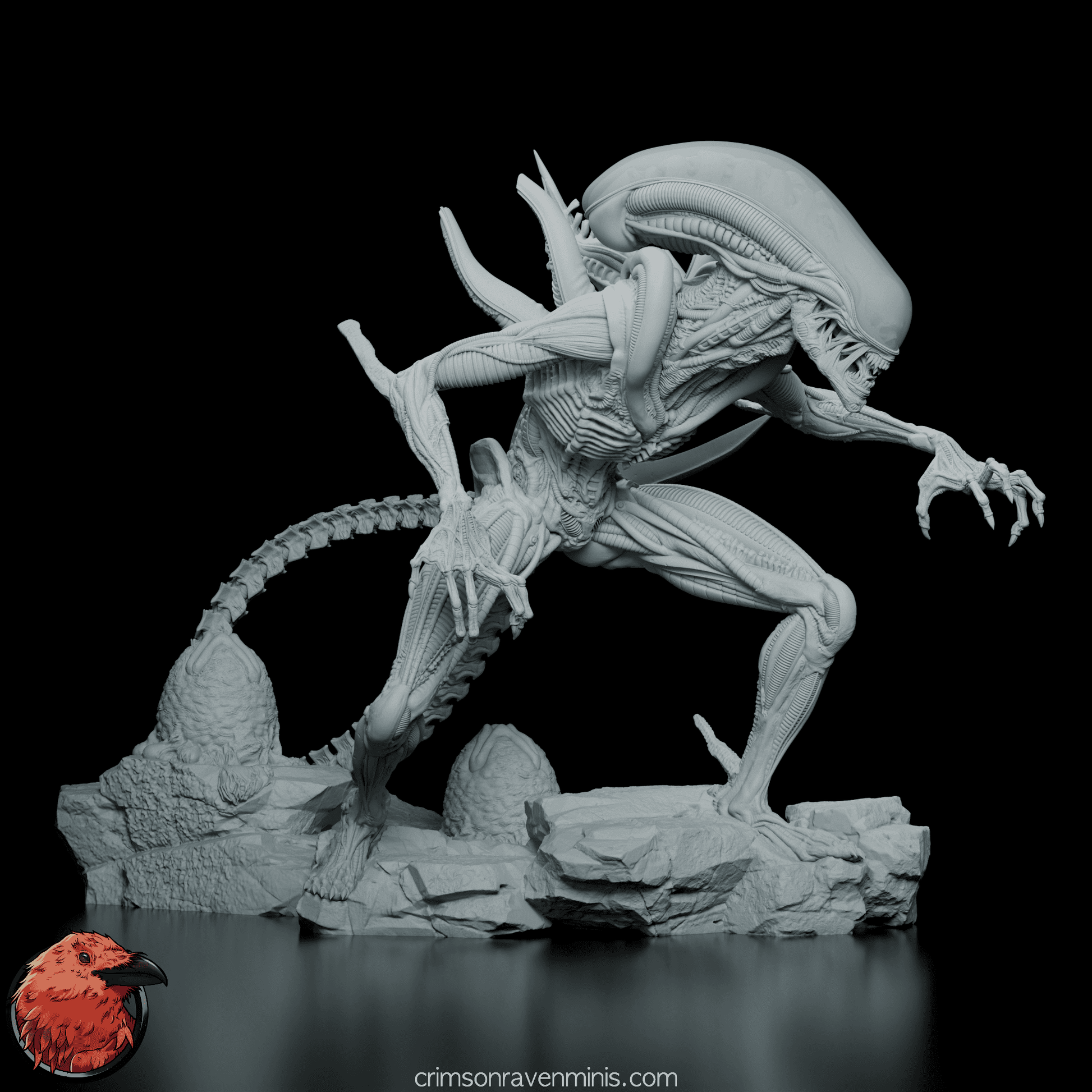 Right side view of the Alien Xenomorph figure model, emphasizing its dynamic pose and intricate design.