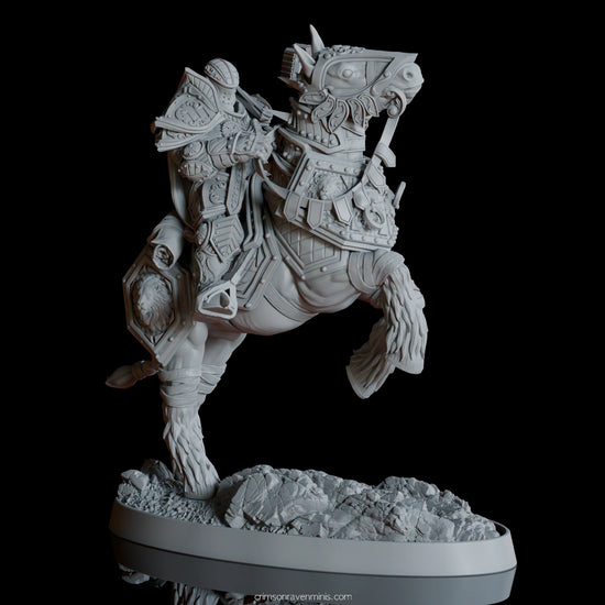 S360 video of Florian de l’Ancienne Bataille, with intricate armor and shield design.